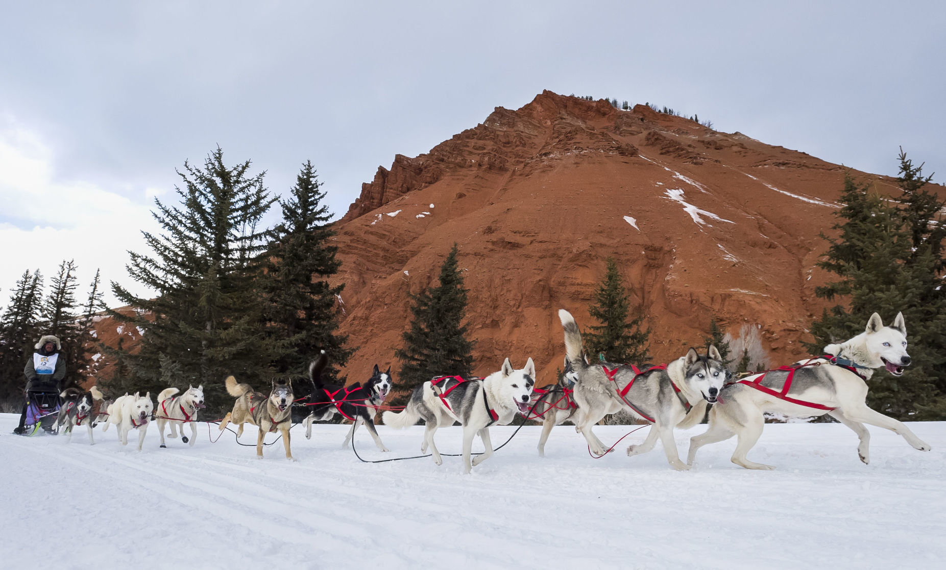 Teton County leg